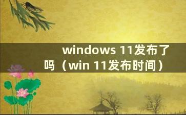 windows 11发布了吗（win 11发布时间）